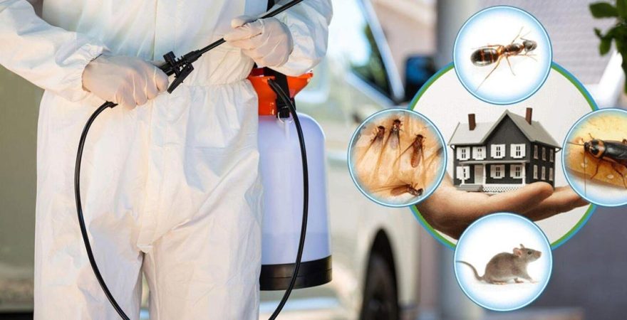 Akyurt Böcek İlaçlama