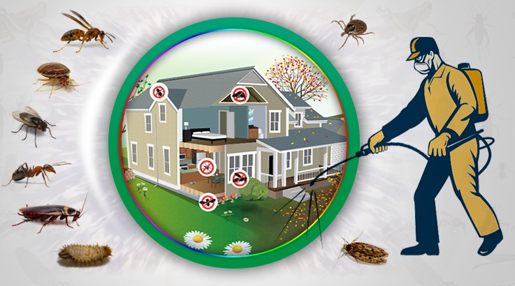 Akyurt Böcek İlaçlama