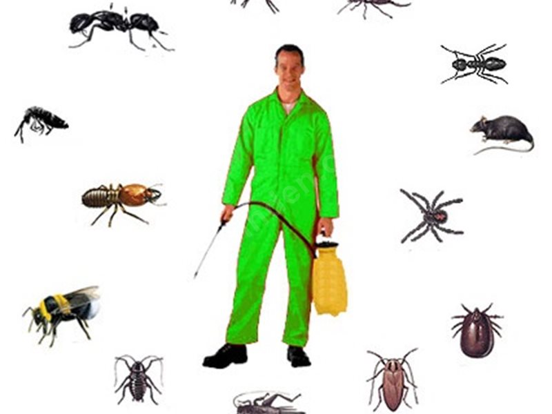 Akyurt Böcek İlaçlama